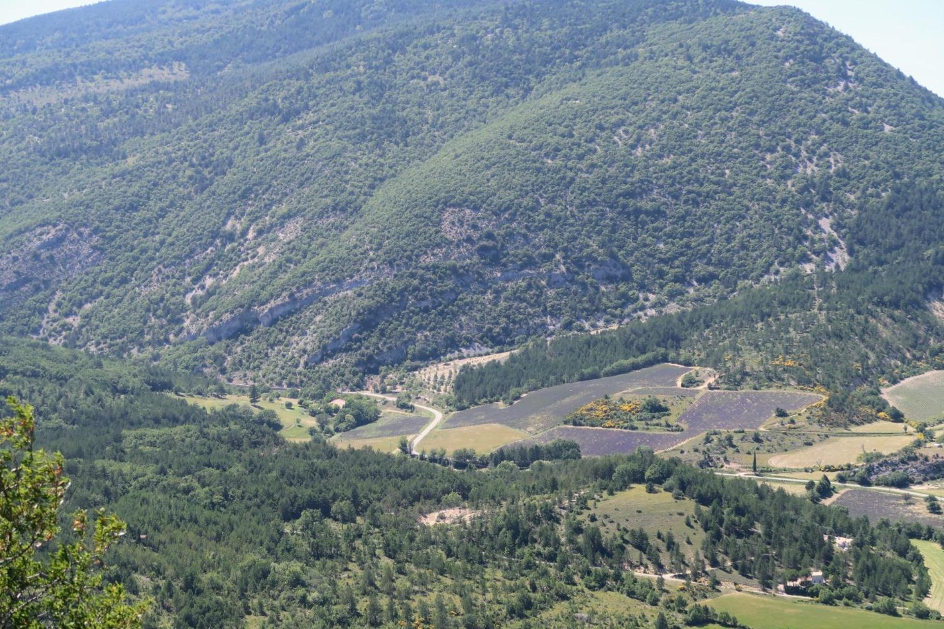 La Terrasse D'Olea, Au Coeur Du Village Buis-les-Baronnies Exterior photo